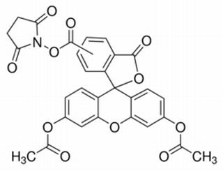 5(6)-羧基二乙酸熒光素琥珀酰亞胺酯