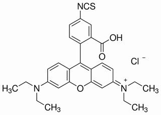 異硫氰酸羅丹明B