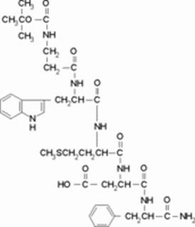 五肽促胃液素