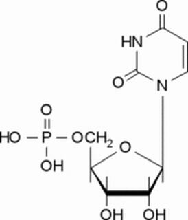 尿苷-5′-單磷酸