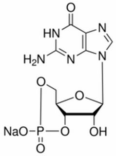 3',5'-環(huán)一磷酸鳥苷鈉鹽