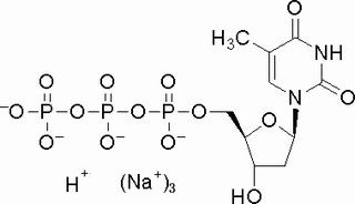 三磷酸脫氧胸苷鈉鹽