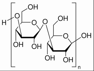 β-D-葡聚糖