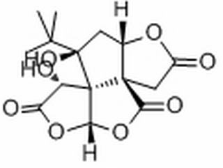 白果內(nèi)酯