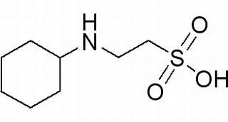 2-環(huán)己胺基乙磺酸