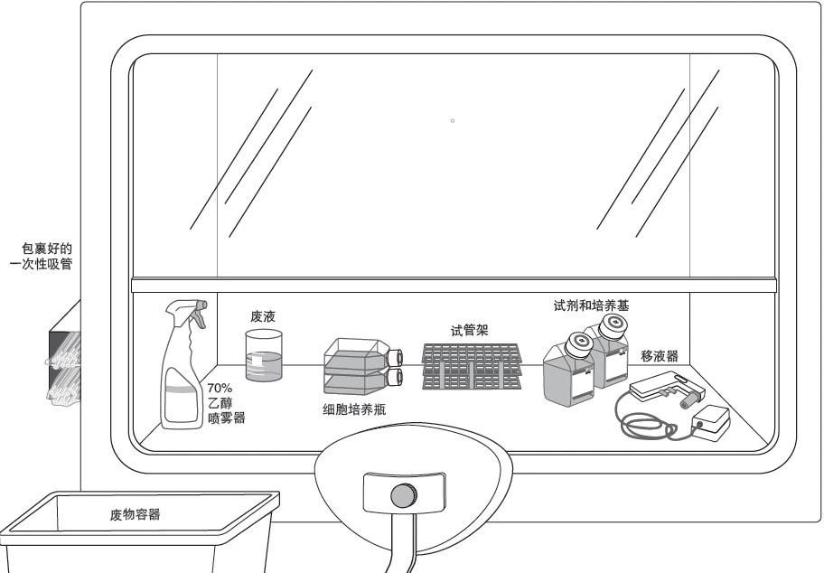 細(xì)胞培養(yǎng)設(shè)備工作流程