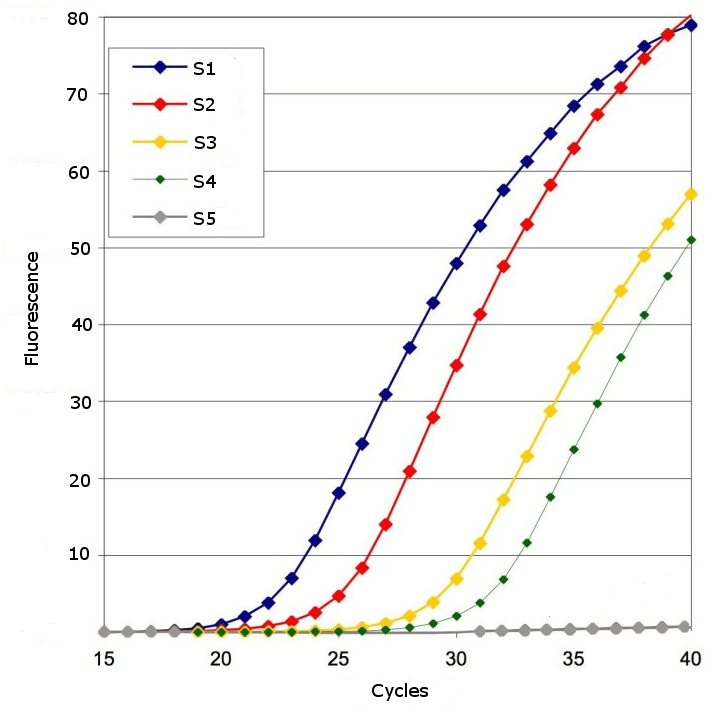 qpcr